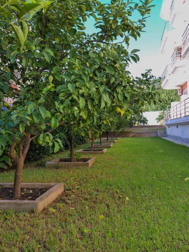 Himara Royal Hotel Zewnętrze zdjęcie